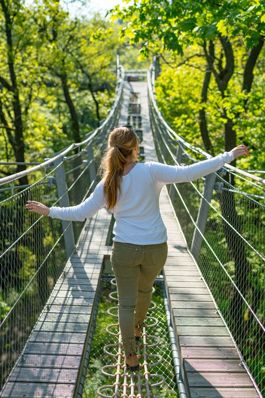 Abenteuerbrücke Baumwipfelpfad